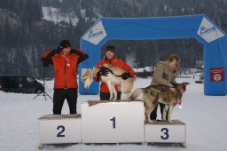Lenk 2012 SM